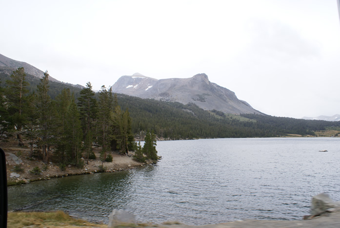 Ellery Lake - Inyo National Forest